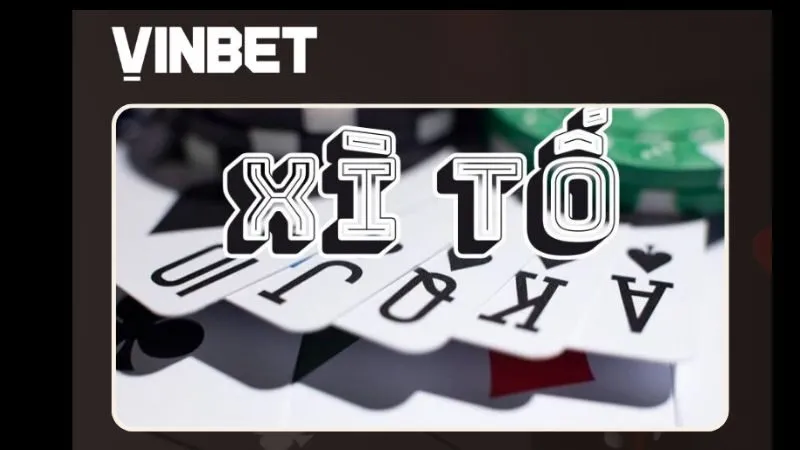 bai-xi-to-vinbet