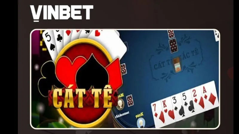 catte-vinbet