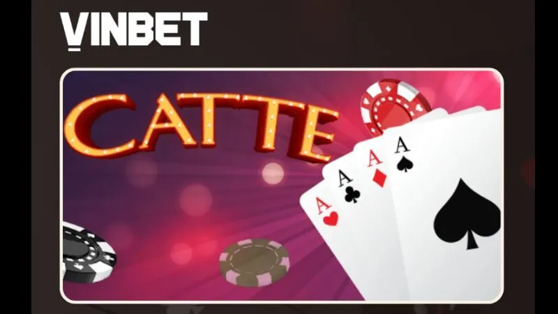 catte-vinbet-