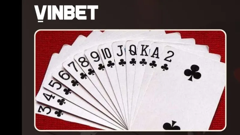 sanh-rong-vinbet-