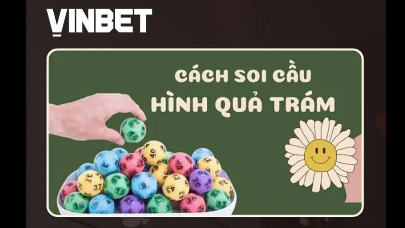 soi-cau-qua-tram-vinbet