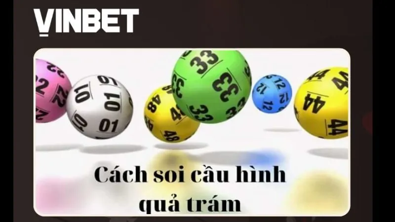 soi-cau-qua-tram-vinbet