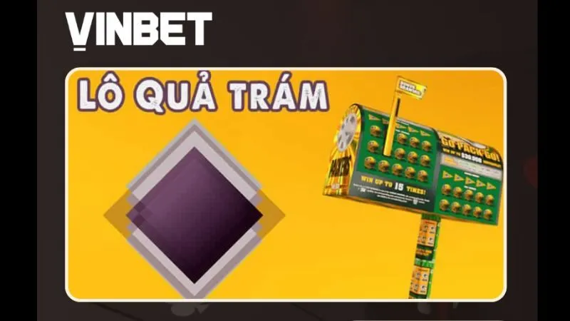 soi-cau-qua-tram-vinbet