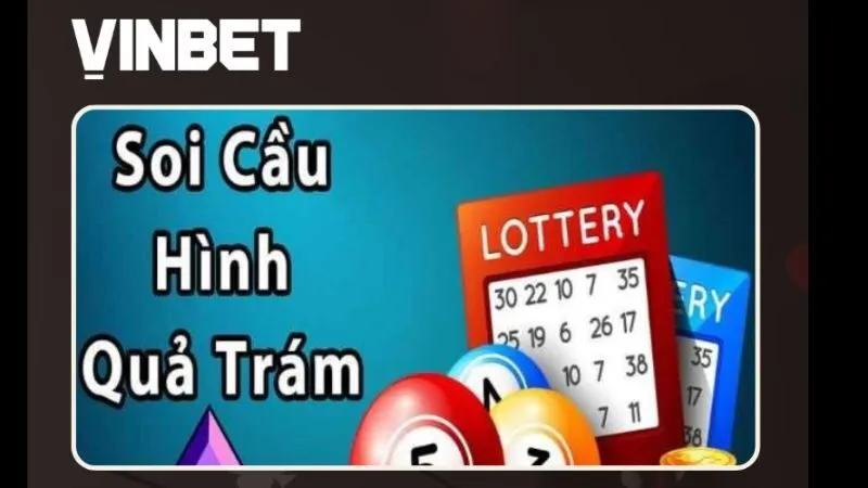 soi-cau-qua-tram-vinbet