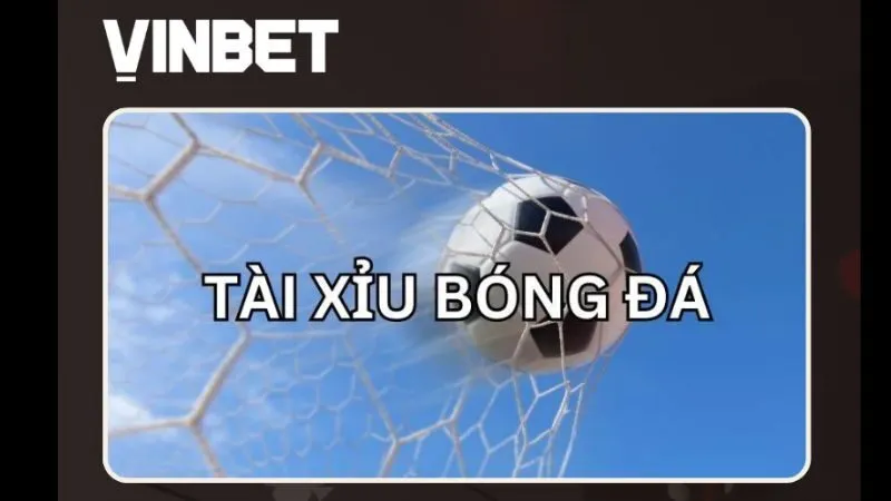 tai-xiu-bong-da-vinbet