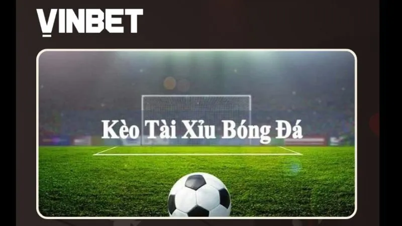 tai-xiu-bong-da-vinbet